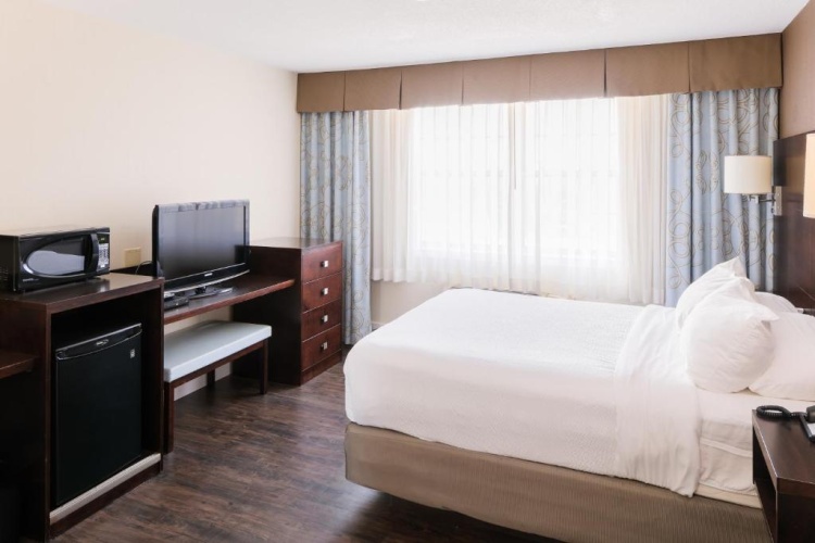 1 Bedroom Suite