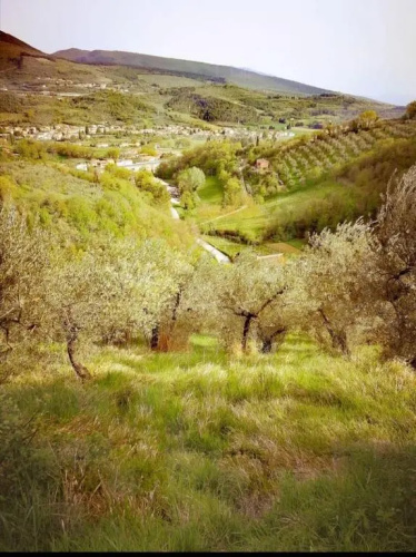 Umbria In Bike B&B