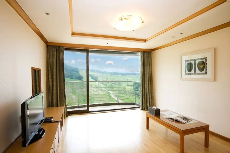 Standard Double room with view