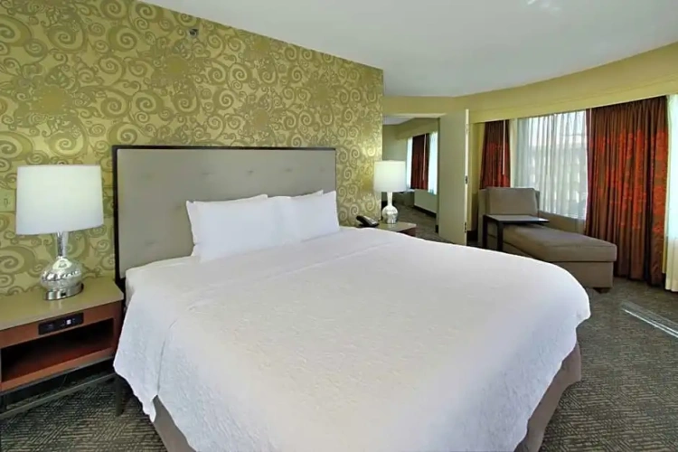 1 Bedroom Standard Double Suite with city view