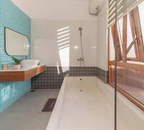Standard Villa