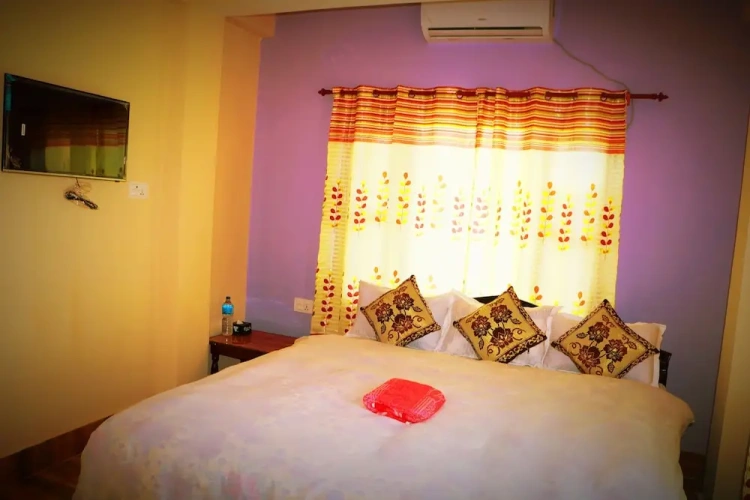 Deluxe Double room with balcony and with garden view