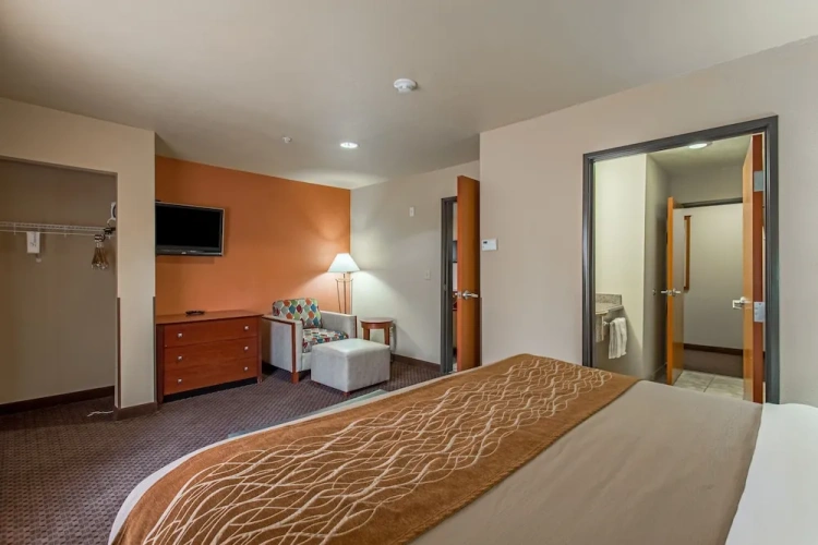 1 Bedroom Suite