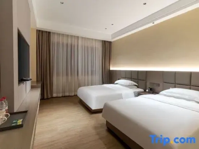 1 Bedroom Suite