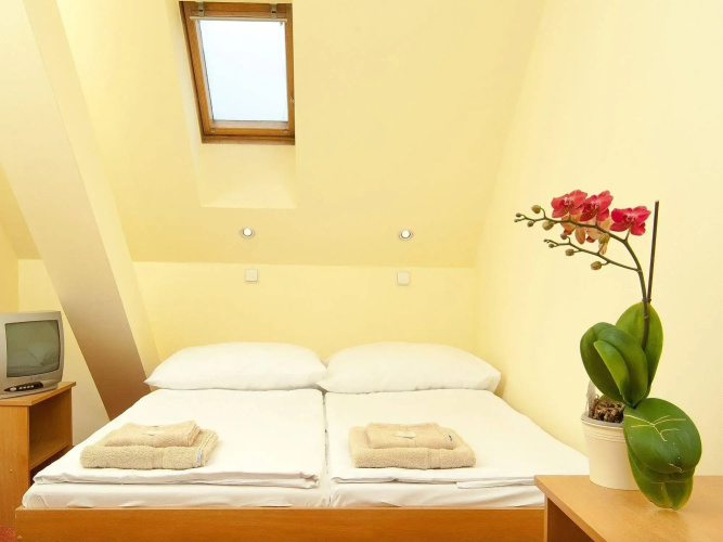 Hotel 51