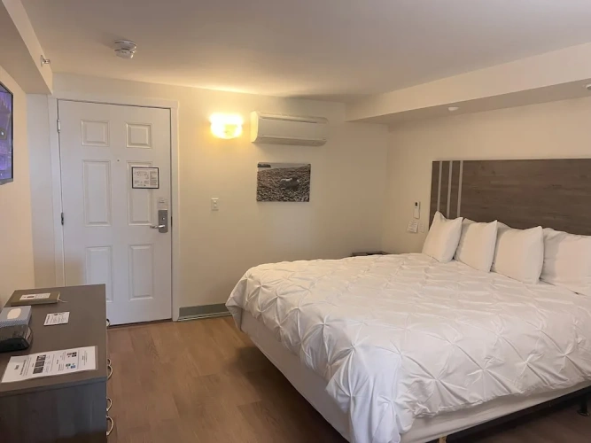 1 Bedroom Premium Suite