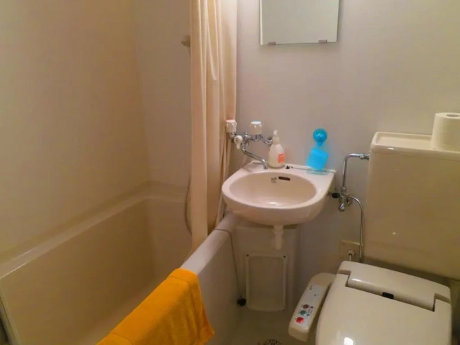Standard Twin room with view