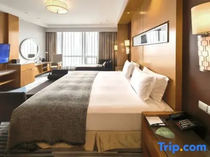Executive Double Suite