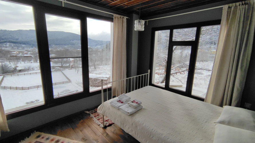 Torrhebia Dag Evi