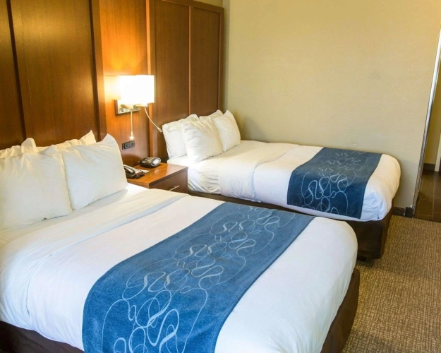 Quadruple Suite