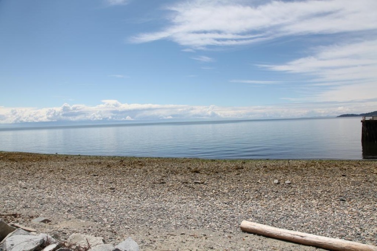 Royal Reach Motel & Marina photo 15
