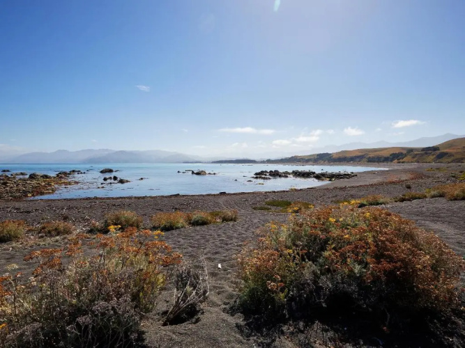 The Kaikoura Bach