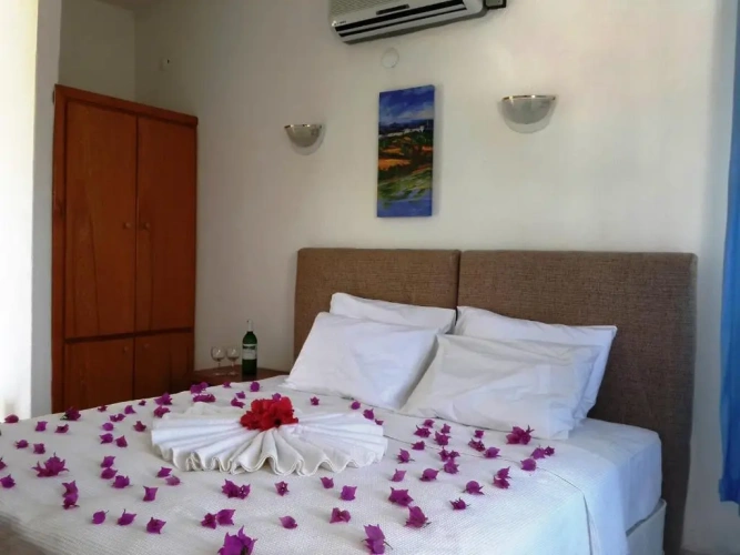 Standard Single room with balcony and with view
