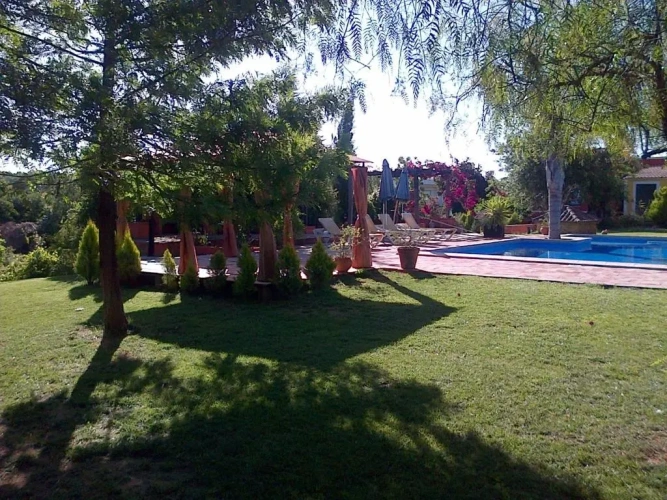 Cottage