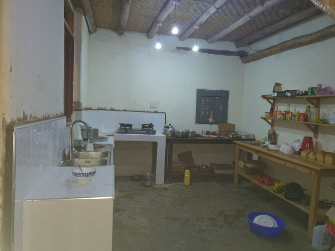 The Gorilla Resort