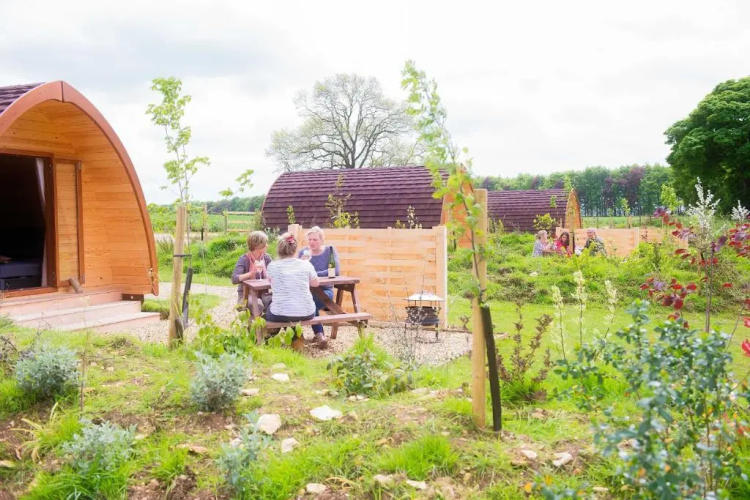 Mallow Glamping Pod