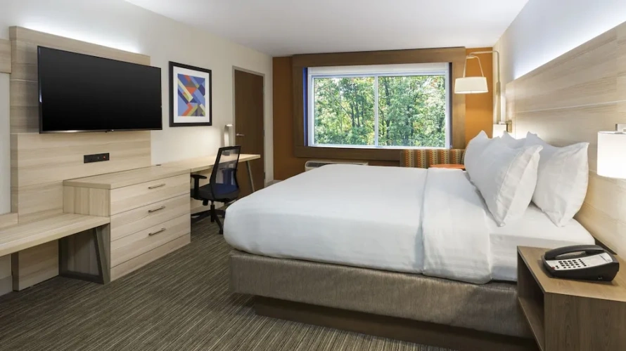 Executive Single Suite