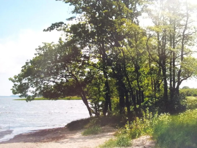 1-Zi Fewo Rankwitz,Usedom