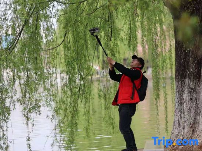 Jiuxing Hotel