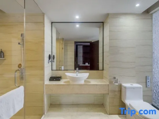Business Suite