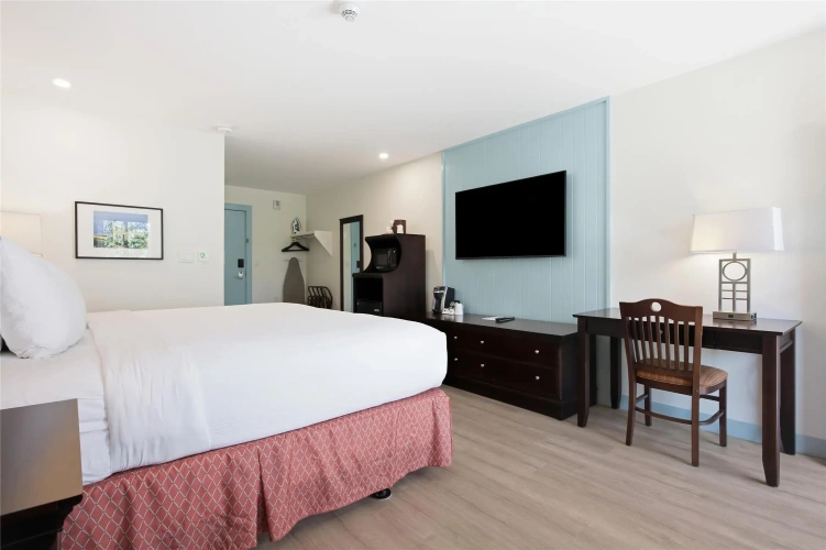 Standard Double room with garden view