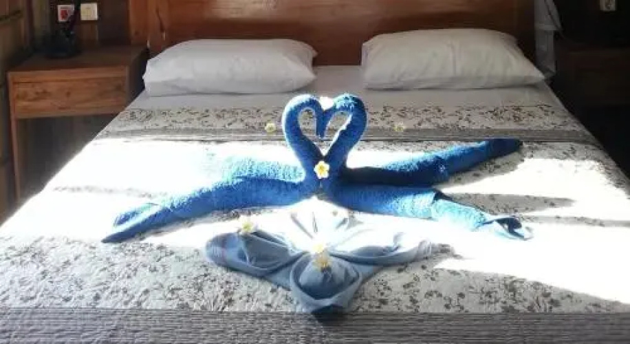 Dune Alaya Yoga Hotel