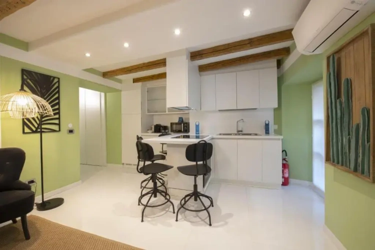 1 Bedroom Apartment