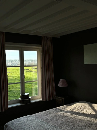 Superior Double room with garden view