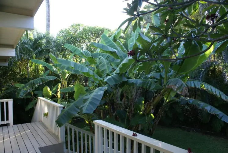 Waimea Point Oceanfront House - (with Air Conditioning)