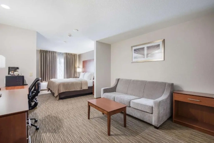 Suite