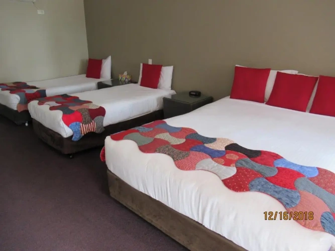 1 Bedroom Single Suite