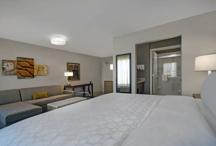 1 Bedroom Suite