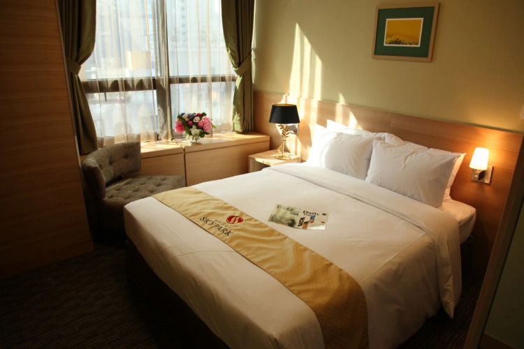 Hotel Skypark Central MyeongdongOver view