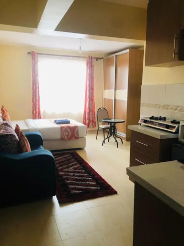 Lovely studio in Ngara