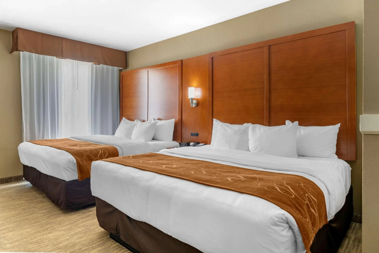 Comfort Suites University