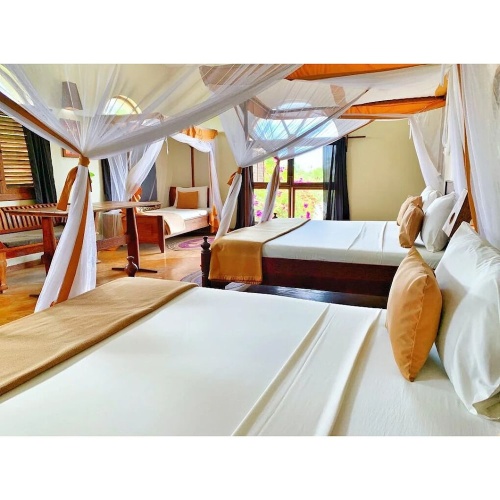 Standard Triple Family room