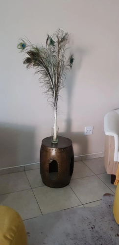 Feather Self Catering Accommodation