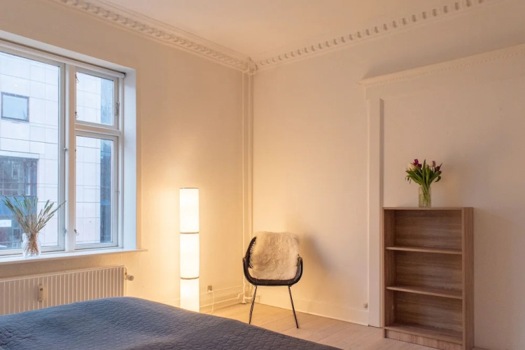 Cozy Spacious Apartment in Downtown Aarhus