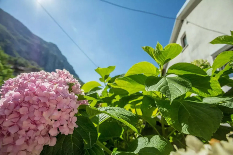 Farm Stay Ferjančič