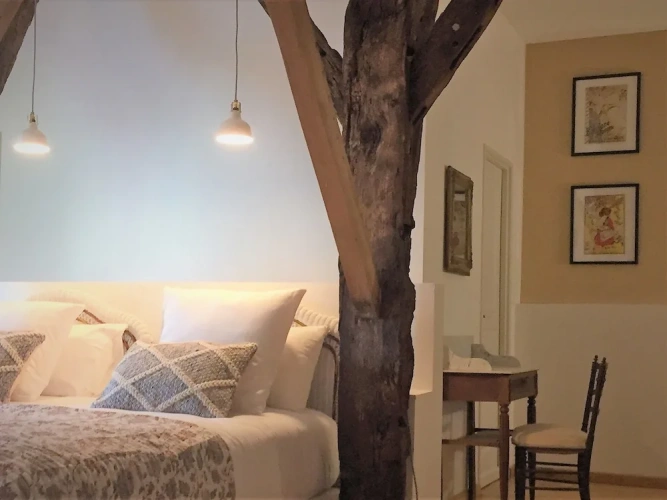 Superior Double room with garden view