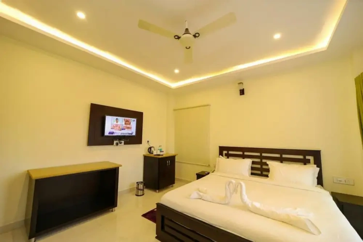 Deluxe room with balcony and with river view