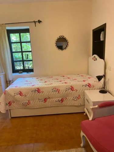 Villa Grande Albero
