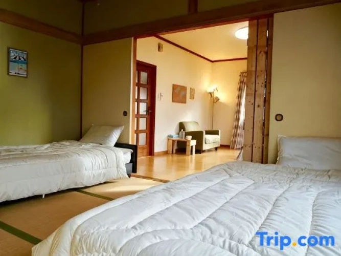 Standard Single room with mountain view