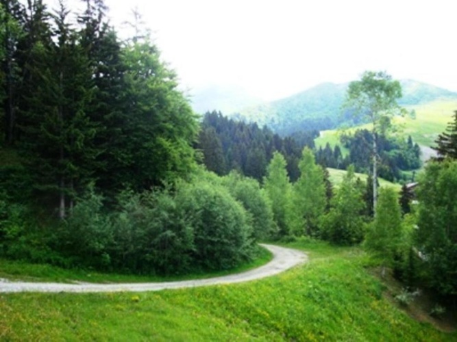 Outside