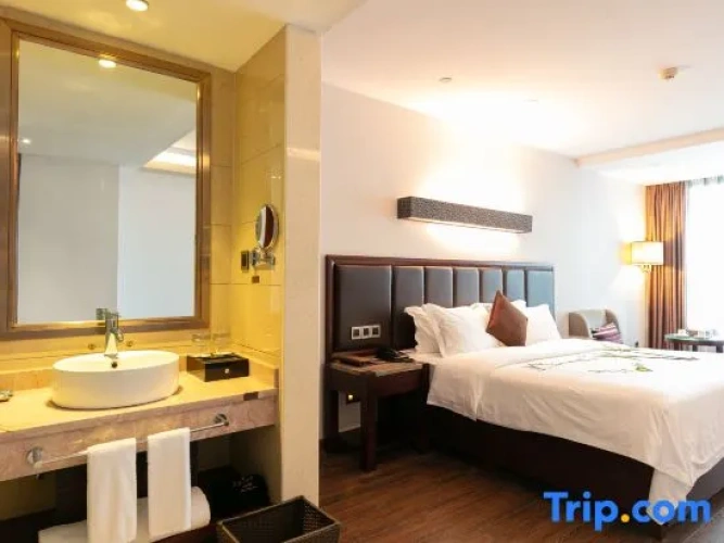 Deluxe Double room with city view