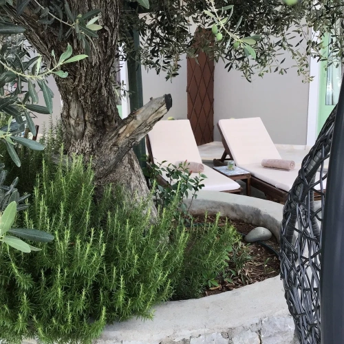 Deluxe Double room with garden view