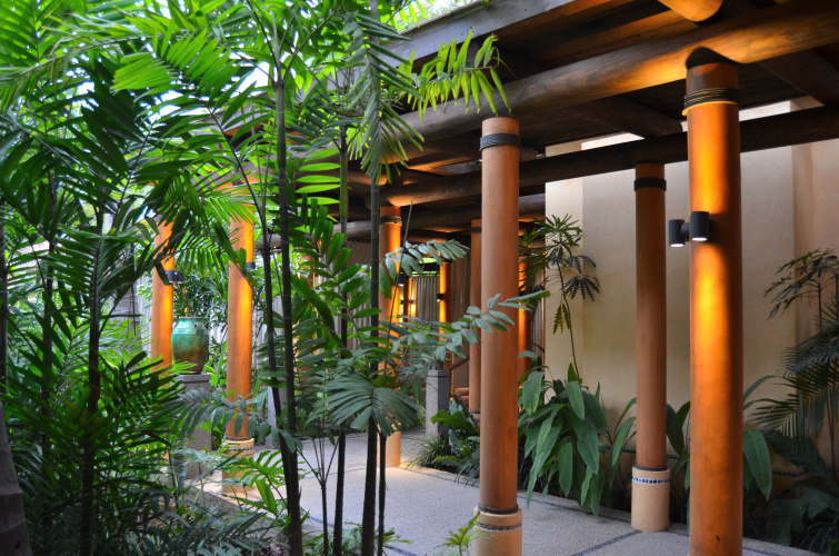 Fiesta Americana Puerto Vallarta All Inclusive and Spa photo 40