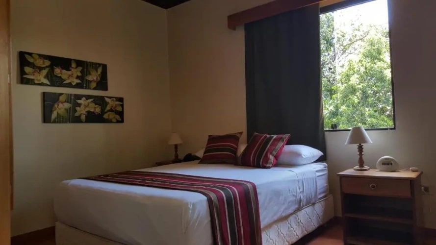 Superior Single room with view