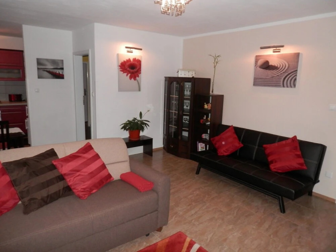 Apartment Boroví