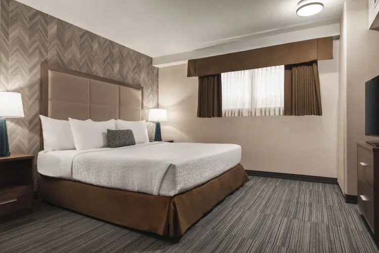 Standard Double Suite
